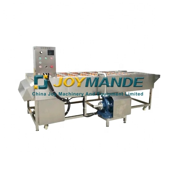 Automatic Roller Brush And Spraying Washer Food Cleaning Machine Mango